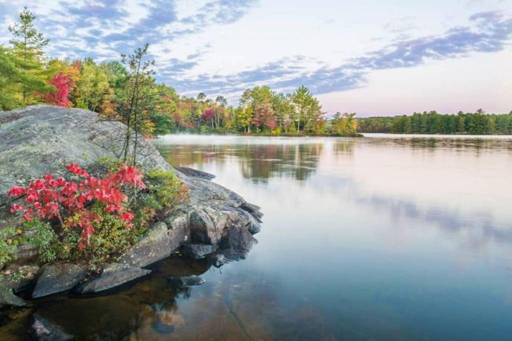 Private Cottage With Huge Private Dog Park! Barrys Bay Екстер'єр фото
