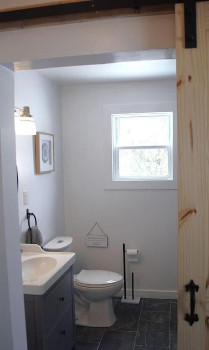 Private Cottage With Huge Private Dog Park! Barrys Bay Екстер'єр фото