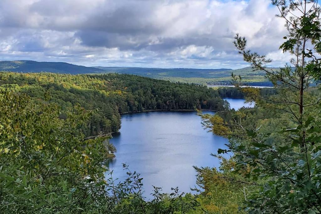 Private Cottage With Huge Private Dog Park! Barrys Bay Екстер'єр фото