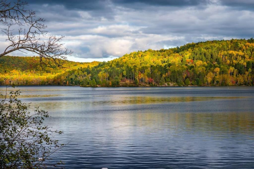 Private Cottage With Huge Private Dog Park! Barrys Bay Екстер'єр фото