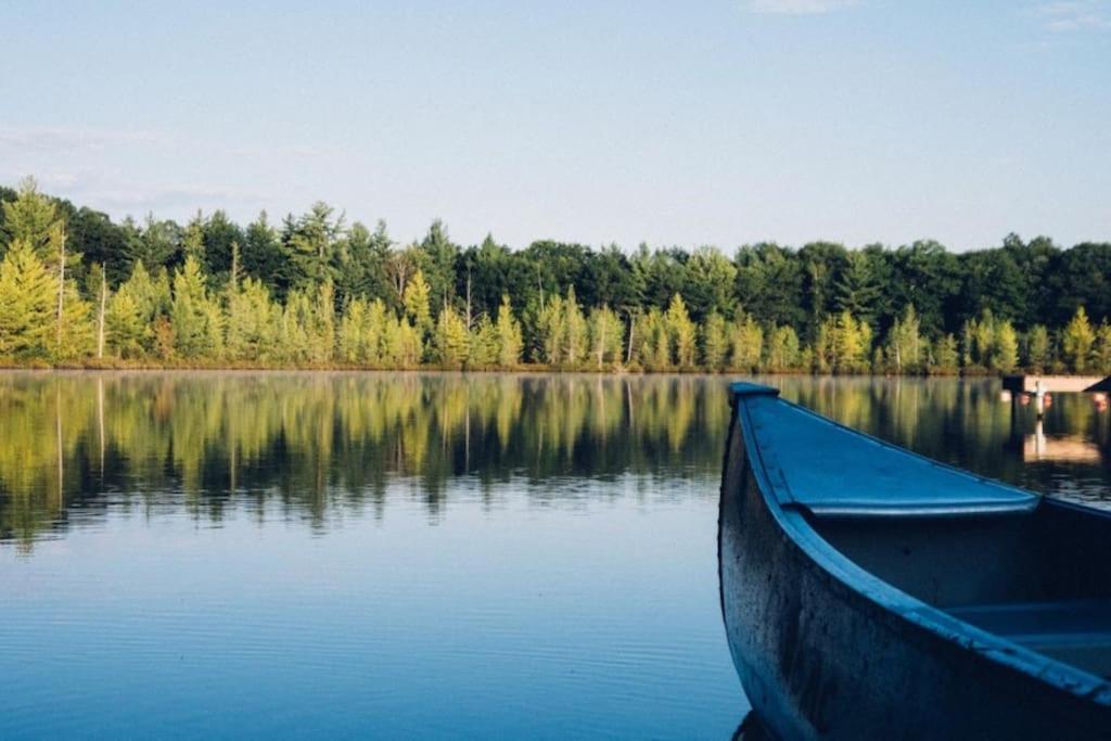 Private Cottage With Huge Private Dog Park! Barrys Bay Екстер'єр фото